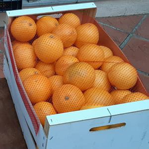 Naranja Navelina • Valencia (Caja 14 kg)