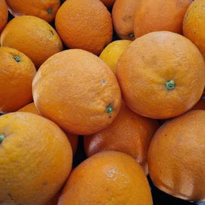 Naranja de Valencia Kg